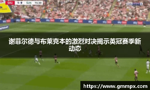 谢菲尔德与布莱克本的激烈对决揭示英冠赛季新动态