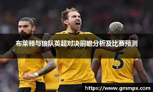 布莱顿与狼队英超对决前瞻分析及比赛预测