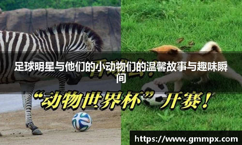 足球明星与他们的小动物们的温馨故事与趣味瞬间